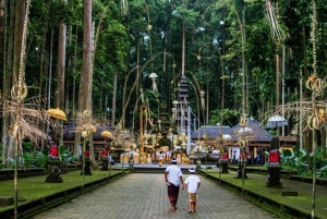 Utforska Bali: Skräddarsydda äventyr med privat chaufför