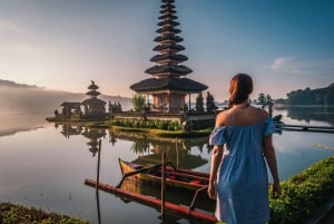 Bali : Tutustuminen Balin pohjoisosaan, yksityinen kokopäiväretki