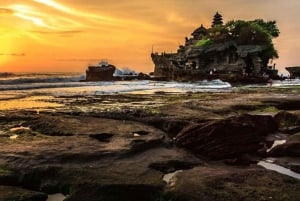 Bali: Udforskning af den nordlige del af Bali, privat heldagstur