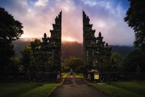 Bali: Verkennen van het noorden van Bali, privé dagvullende tour