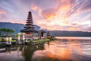 Bali : Erkundung des Nordens von Bali, Private Ganztagestour