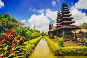 Bali: Utforska norra Bali, privat heldagstur