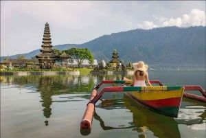 Bali : Explorando el Norte de Bali, tour de día completo privado