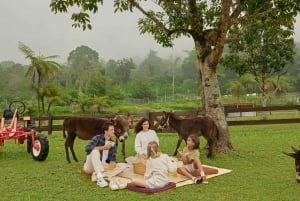Bali: Farm House Experience with Entry Ticket & Options