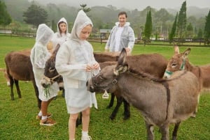 Bali: Farm House Experience with Entry Ticket & Options