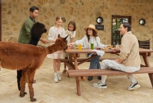 Bali: Farm House Experience with Entry Ticket & Options