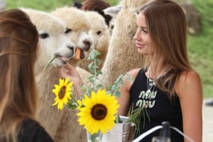 Bali: Farm House Experience with Entry Ticket & Options