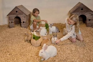 Bali: Farm House Experience with Entry Ticket & Options