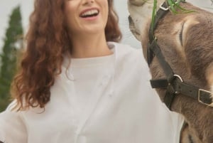 Bali: Farm House Experience with Entry Ticket & Options