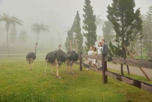 Bali: Farm House Experience with Entry Ticket & Options