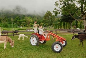 Bali: Farm House Experience with Entry Ticket & Options
