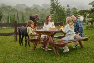 Bali: Farm House Experience with Entry Ticket & Options