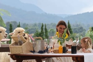 Bali: Farm House Experience with Entry Ticket & Options
