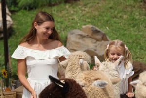 Bali: Farm House Experience with Entry Ticket & Options