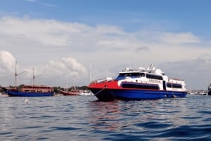 Bali: bilet na szybki rejs na wyspę Gili