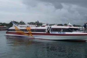 Bali: bilet na szybki rejs na wyspę Gili