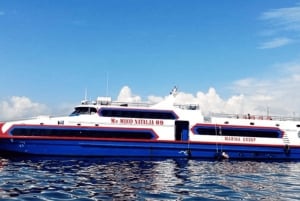 Bali: bilet na szybki rejs na wyspę Gili