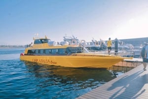 Bali: trasferimento in barca veloce da/per Nusa Penida