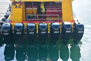 Bali: trasferimento in barca veloce da/per Nusa Penida