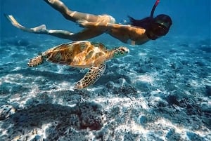 Bali: Ferry Transfer to Gili Trawangan, Gili Air, Lombok