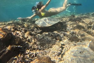 Bali: Ferry Transfer to Gili Trawangan, Gili Air, Lombok