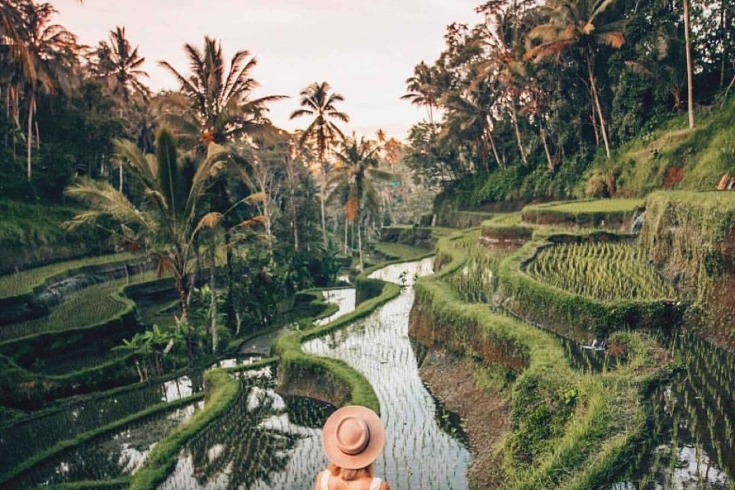 Bali: Fireflies Night, Temple, Waterfall & Rice Terrace