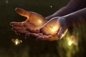 Bali: Fireflies Night, Temple, Waterfall & Rice Terrace