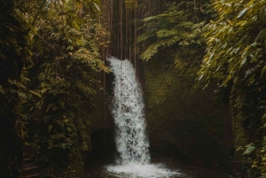 Bali: Fireflies Night, Temple, Waterfall & Rice Terrace