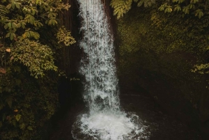 Bali: Fireflies Night, Temple, Waterfall & Rice Terrace