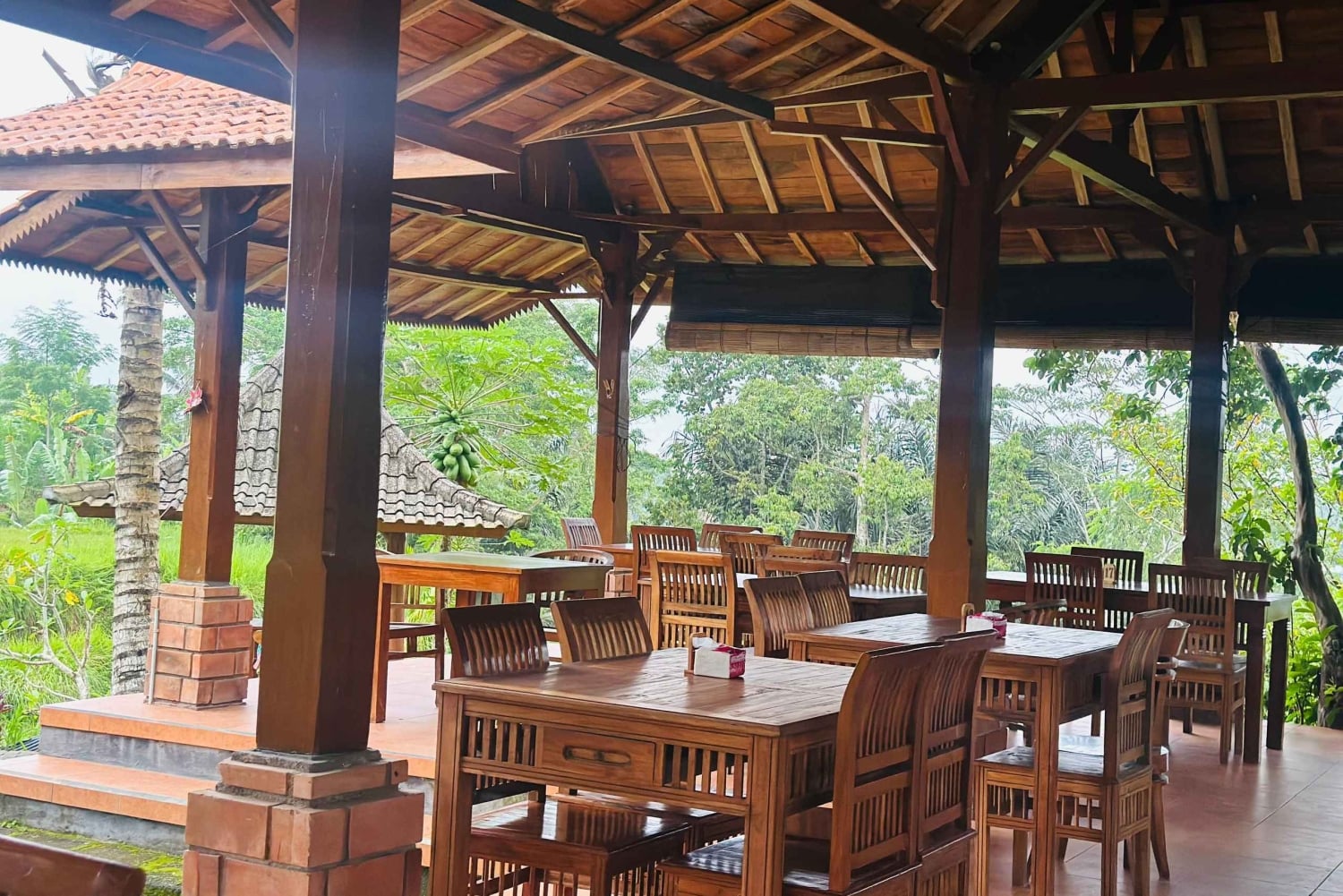 Bali: Taron kylän yökierros ja Ubudin vaihtoehdot