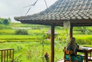 Bali: Taron kylän yökierros ja Ubudin vaihtoehdot