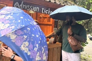 Bali: Taron kylän yökierros ja Ubudin vaihtoehdot