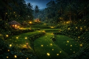 Bali: Taron kylän yökierros ja Ubudin vaihtoehdot