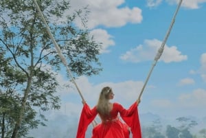 Bali: Taron kylän yökierros ja Ubudin vaihtoehdot