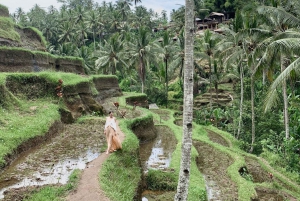 Bali: Flexible Private Car Hire from Ubud with Driver