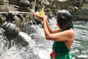 Bali: noleggio auto privato flessibile da Ubud con autista