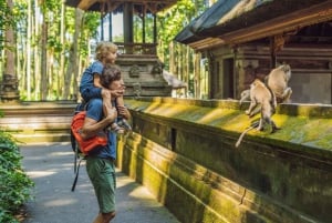 Bali: noleggio auto privato flessibile da Ubud con autista