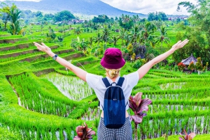 Bali: Från kunglig trädgård till flytande helgedomar och havstempel