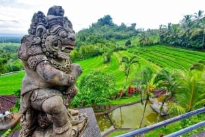 バリ島：神聖な山々から永遠の花の谷まで