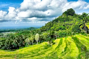 バリ島：神聖な山々から永遠の花の谷まで