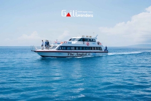 Bali: pikaveneen lippu Gili-saarille ja Nusa Penidaan