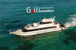 Bali: pikaveneen lippu Gili-saarille ja Nusa Penidaan