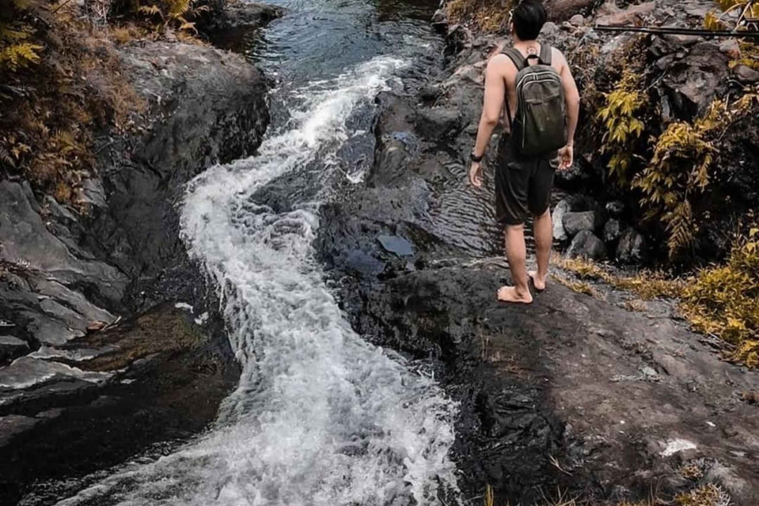 Bali: Fuji-watervallen, rijstterrassen en lokale lunch