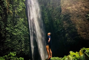 Bali: Fuji-watervallen, rijstterrassen en lokale lunch