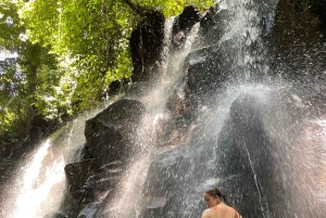 Bali: heldags privat omvisning med 3-i-1 fosseeventyr