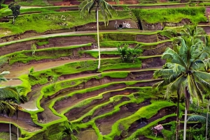 バリ：カスタマイズ可能な日帰りツアー