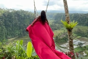 バリ：カスタマイズ可能な日帰りツアー