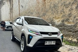 バリ：カスタマイズ可能な日帰りツアー