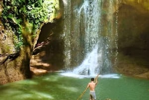 バリ：カスタマイズ可能な日帰りツアー