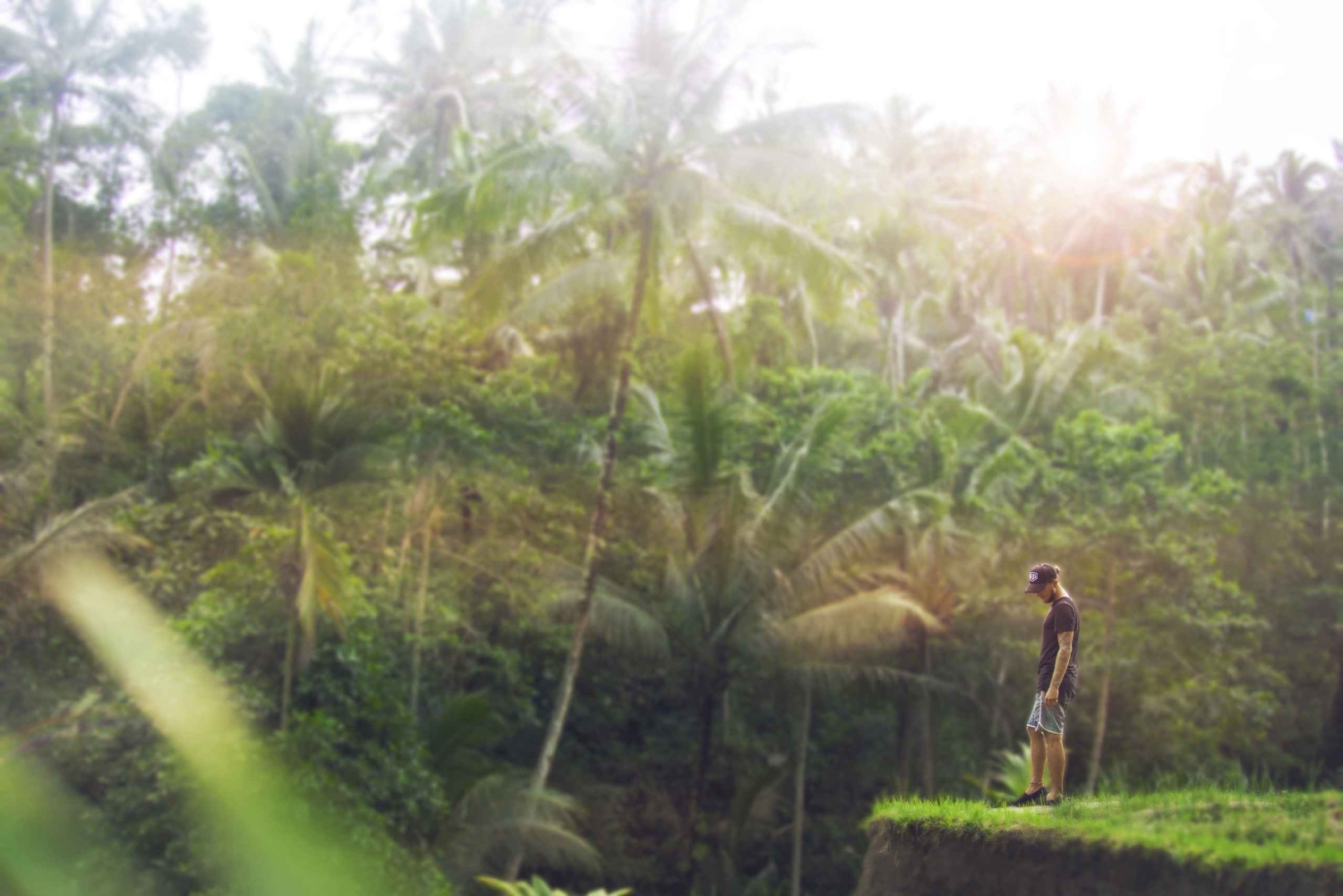 Bali: Full-Day Eat Pray Love Tour with Rice Terraces & Yoga